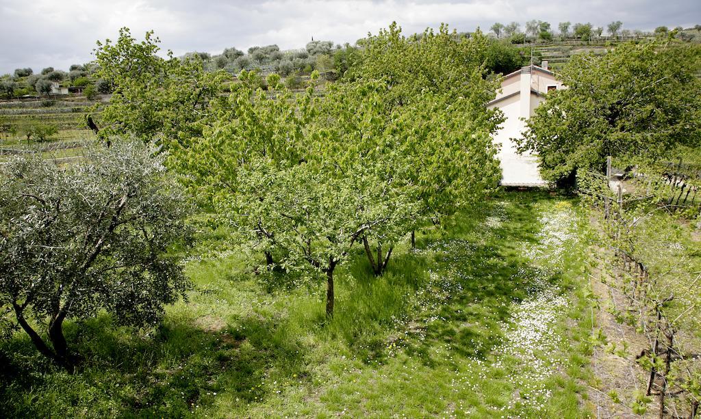 B&B Il Pettirosso Negrar Esterno foto